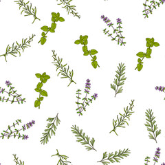 Seamless pattern with rosemary herb