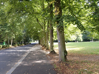 Townscape  in Czech Karlovy Vary