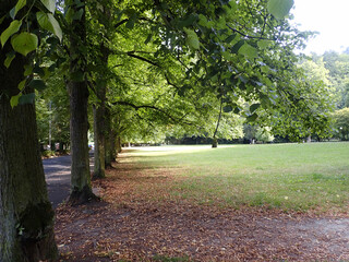 Townscape  in Czech Karlovy Vary