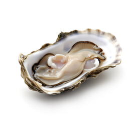 Single oyster closeup on white backgrounds.