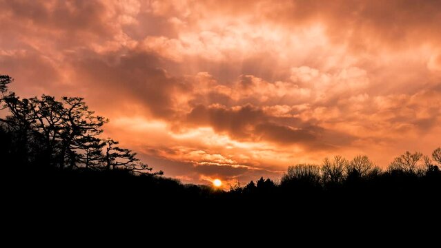Time lapse, sun rising through the bushes, Zoom in