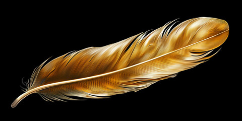 Elegant template Golden feathers on black background, fashion and beauty, Gold feather isolated on a transparent background. 