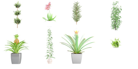 Fototapeta na wymiar Set of house plants in pots isolated on white background Pro Vector