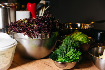 Assorted Fresh Herbs and Purple Lettuce in Bowls. A kitchen scene with stainless steel bowls filled with vibrant purple lettuce, fresh dill, and parsley on a wooden countertop.
