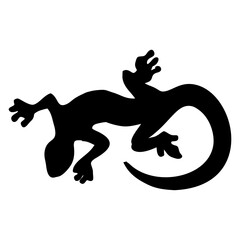 silhouette of a black lizard crawling