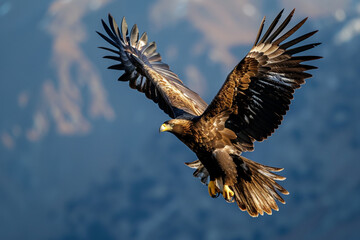 Fototapeta premium Majestic Eagle in Flight Against a Blue Sky