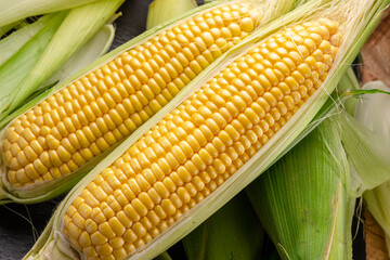 Ripe corn heads with corn whiskers and leaves.