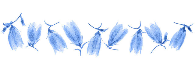 Blue flowers bells isolated on white background. Border of blue flowers toned in blue for design.