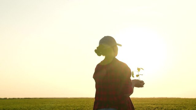 female farmer holding seedling hands sunset, hard work farming. grow healthy productive crops feed world community. Agriculture contributes economies regional countries, providing food, jobs, source