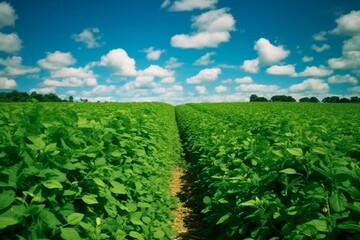 Fototapeta na wymiar A recently gathered expanse of verdant soybean crops. Generative AI