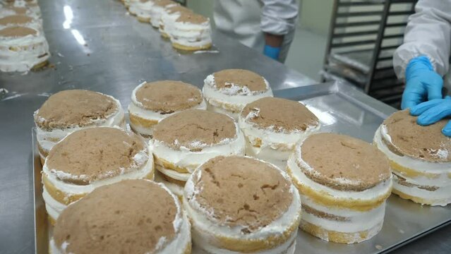 A chef skillfully levels a cake made from biscuits soaked in air cream, using a metal spatula in a professional kitchen.