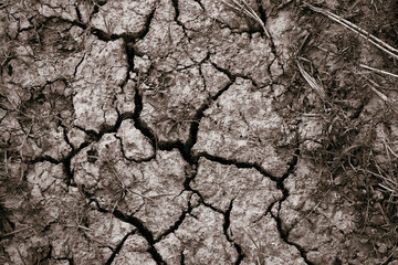 The Land is Dry and Cracked from Drought, the summer season.