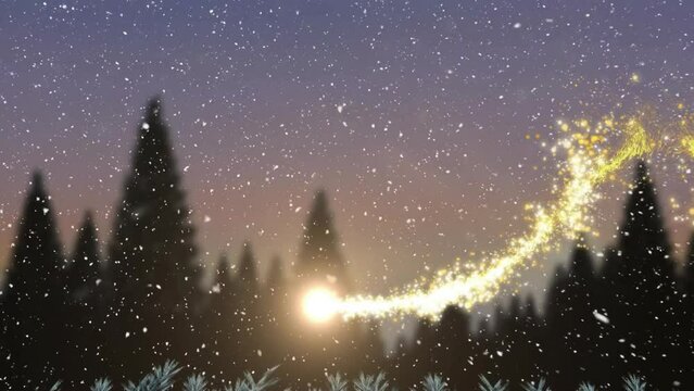 Animation of snow falling over light trail and fir tree forest