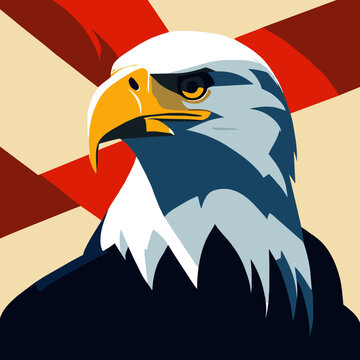 Vector american bald eagle