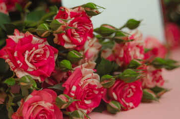 Red Little Roses With Writing Leaf, Greeting Card