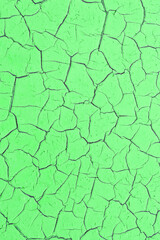 Texture of green cracked background. Phone wallpaper, vertical