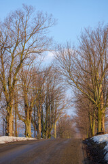 Fototapeta premium Rural Road in Sugar Grove, Pennsylvania