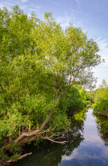 The Conewango Creek in Sugar Grove, Pennsylvania, USA
