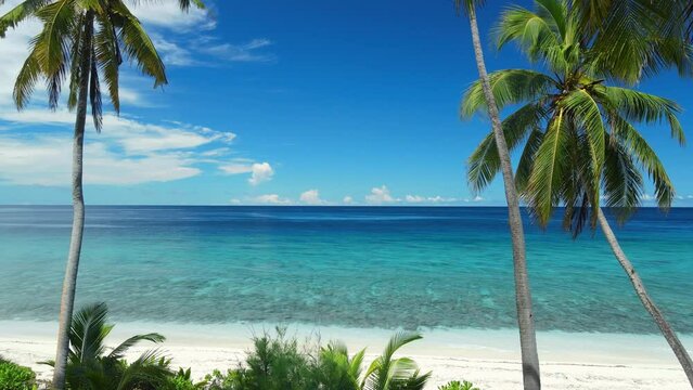 Maldives islands tropical beach with palms and blue quiet ocean. Aerial view