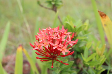 Photos from various things that actually exists