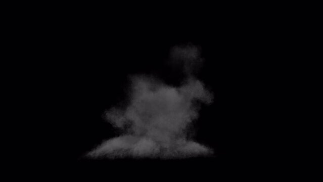 Detailed realistic explosion with fire, smoke, 4k 24p, 3 different speed shots with alpha channels included. Including slow motion so you can adjust the timing to your needs without loss of quality.