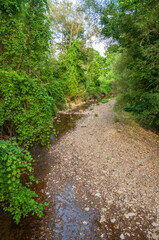 Fototapeta na wymiar The Conewango Creek in Sugar Grove, Pennsylvania, USA