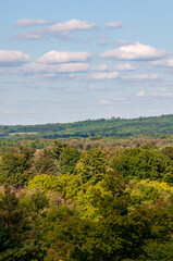 Fototapeta na wymiar Forest Overlook at Sugar Grove, Pennsylvania