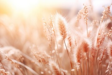 Abstract natural background with fluffy stems of tall grass on a bokeh background. Dry soft grass. Generated by artificial intelligence