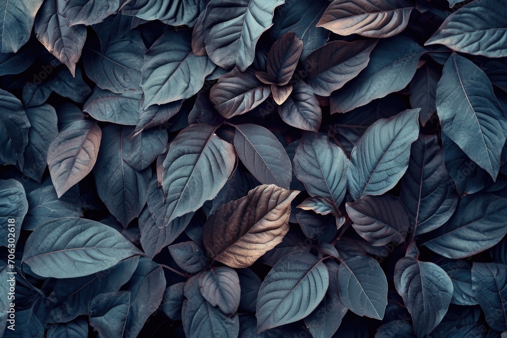 Poster A close-up view of a bunch of leaves. This versatile image can be used for various purposes