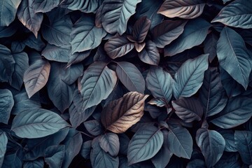 A close-up view of a bunch of leaves. This versatile image can be used for various purposes