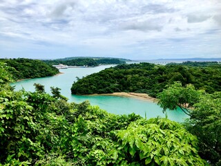 Scenic outdoor scene of a lush green forest alongside a tranquil river with clear blue water