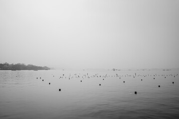 misty morning on the lake