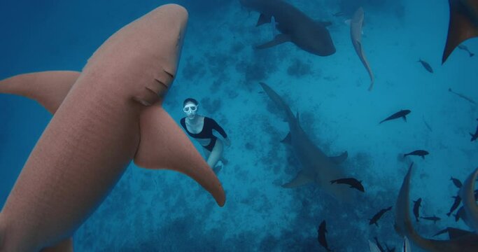 Attractive woman freediver dives and swimming with Nurse sharks in blue ocean in the Maldives. The girl hit the shark. 