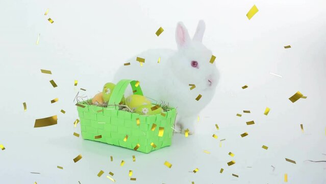 Animation of confetti falling over basket of easter eggs and rabbit on white background