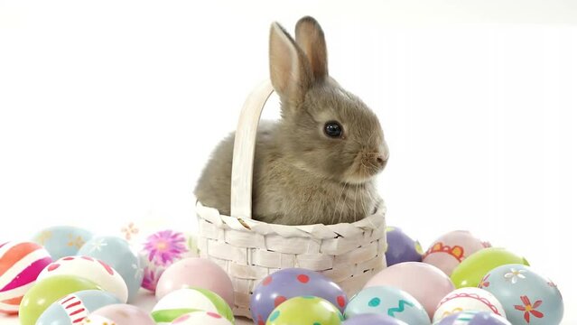Animation of confetti falling over rabbit in basket and easter eggs on white background