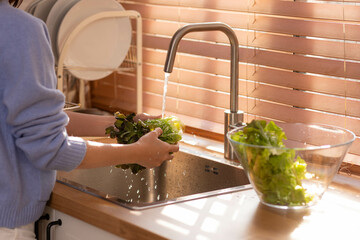 Asian healthy woman washing  vegetable and other fruit above kitchen sink and cleaning.