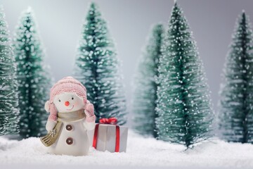 Snowman with gift in forest