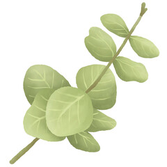 Fototapeta na wymiar watering color of green leaf element illustration for decoration