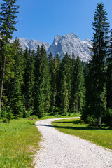 Fototapeta premium Panoramic hiking trail in idyllic forest looking at massive mountain ridges of Julian Alps in summer. Italian Alps near Tarvisio, border Slovenia and Austria, Friuli Venezia Giulia, Italy, Europe