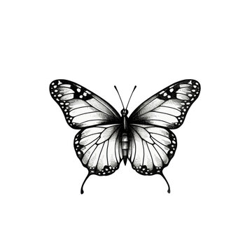 butterfly tattoo design on transparent background, png