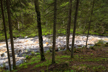 View of the river in Karelia