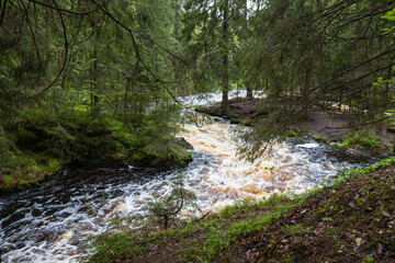 View of the river in Karelia