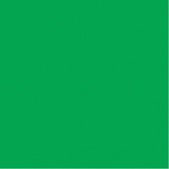 seamless pattern floral 