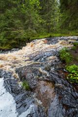 View of the river in Karelia