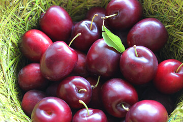 Craft Straw Pot Filled With Fresh Red Plum Fruits Top View 

