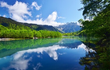 新緑の上高地・大正池