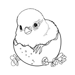 A chick in a shell with flowers. Illustration Happy Easter, festive illustration