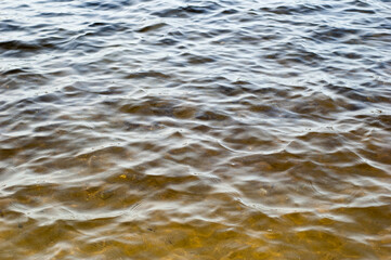 Fototapeta premium Nature's Abstract: Olive Color River Water Texture.