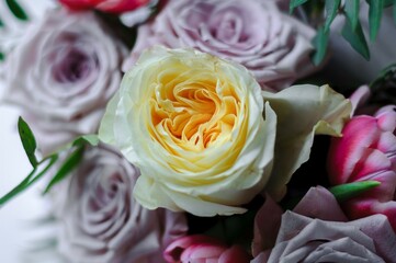 bouquet of roses of different colors close up
