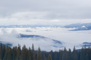 A view of the mountains with snow-covered coniferous forests and an incoming fog.